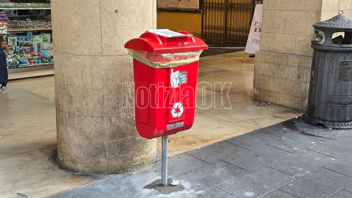 Eco Dog - Crotone - Foto Redazione 4.08.2026 