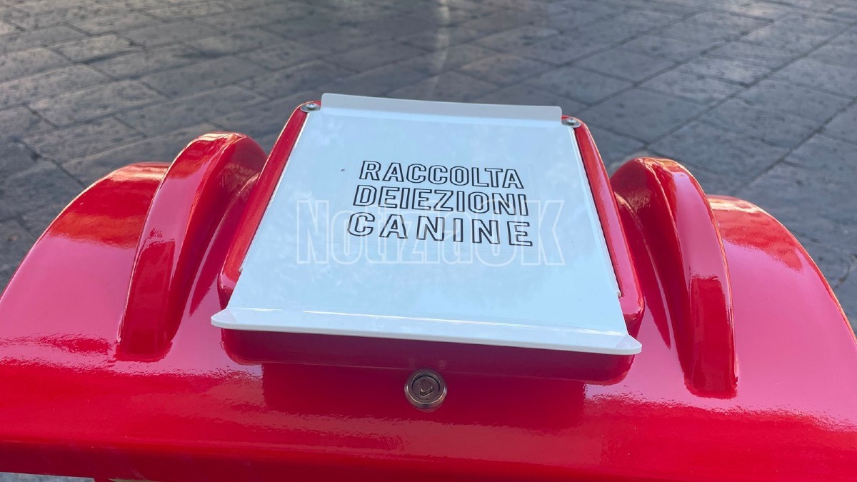 Eco Dog - Crotone - Foto Redazione 4.08.2026 