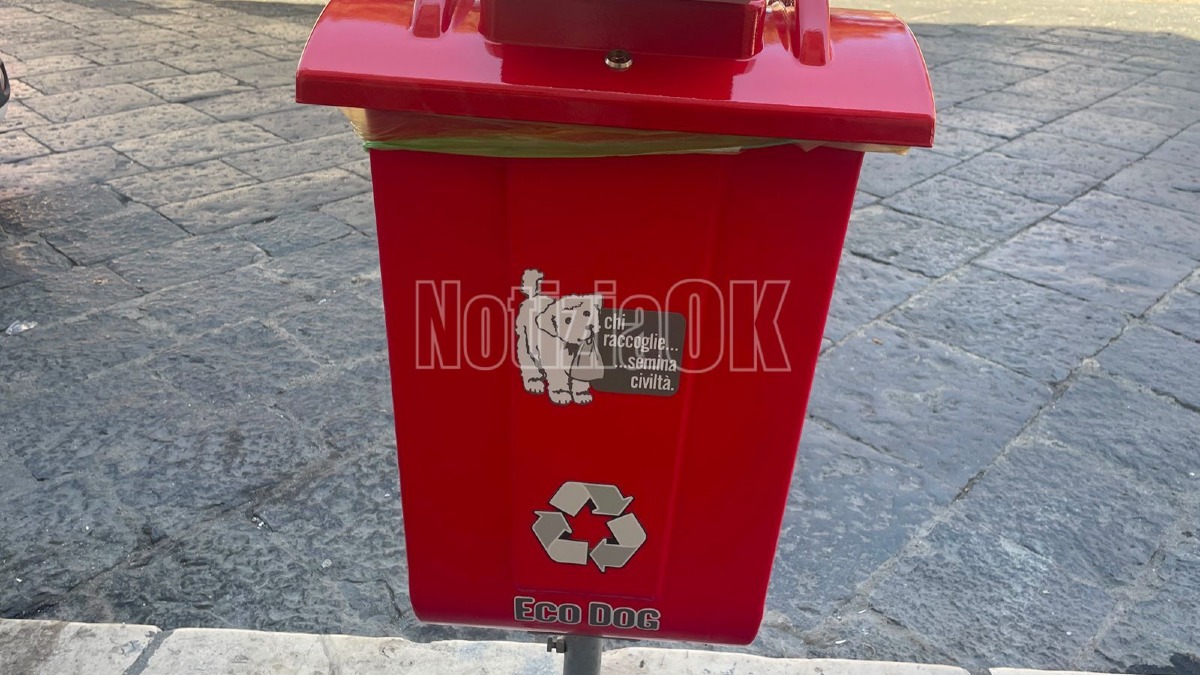 Eco Dog - Crotone - Foto Redazione 4.08.2026 