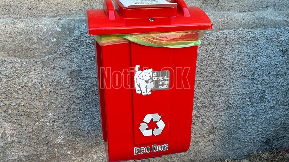Eco Dog - Crotone - Foto Redazione 4.08.2026 