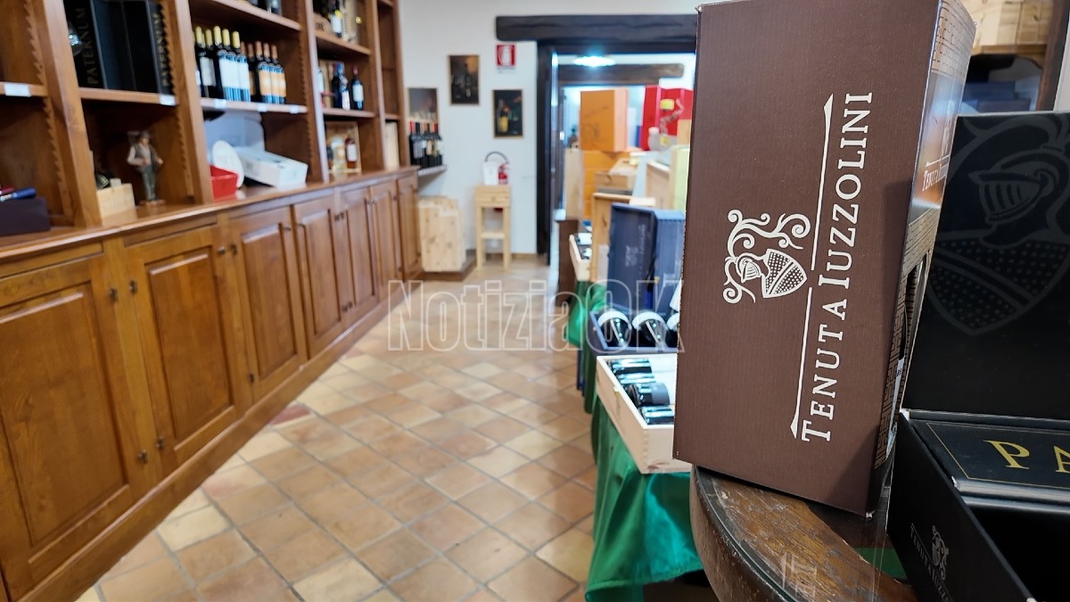 Iuzzolini Wine Tour - Foto Redazione 7.08.2026