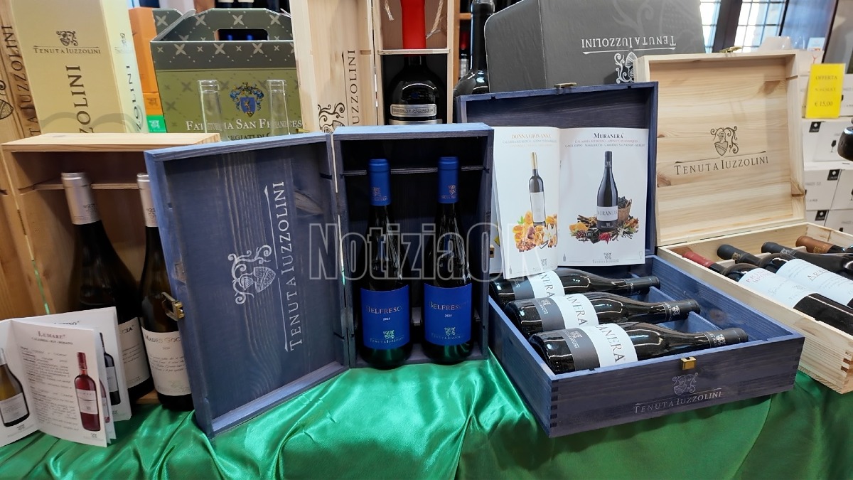 Iuzzolini Wine Tour - Foto Redazione 7.08.2026