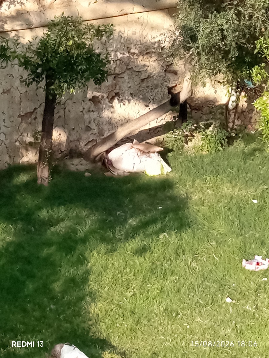 Orto Tellini segnalazione degrado - Foto 15.08.2026