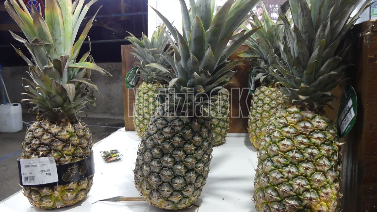 Street Food Crotone - Foto Redazione 15.08.2026