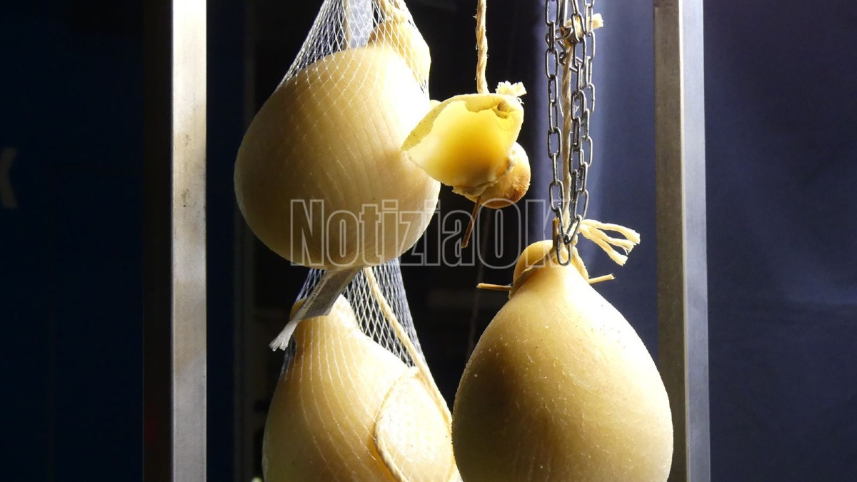 Street Food Crotone - Foto Redazione 15.08.2026