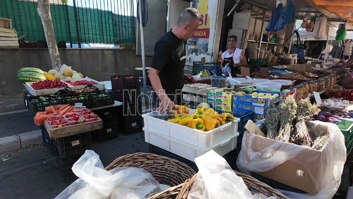 Mercato domenicale - 23 agosto 2026 - Foto Redazione 
