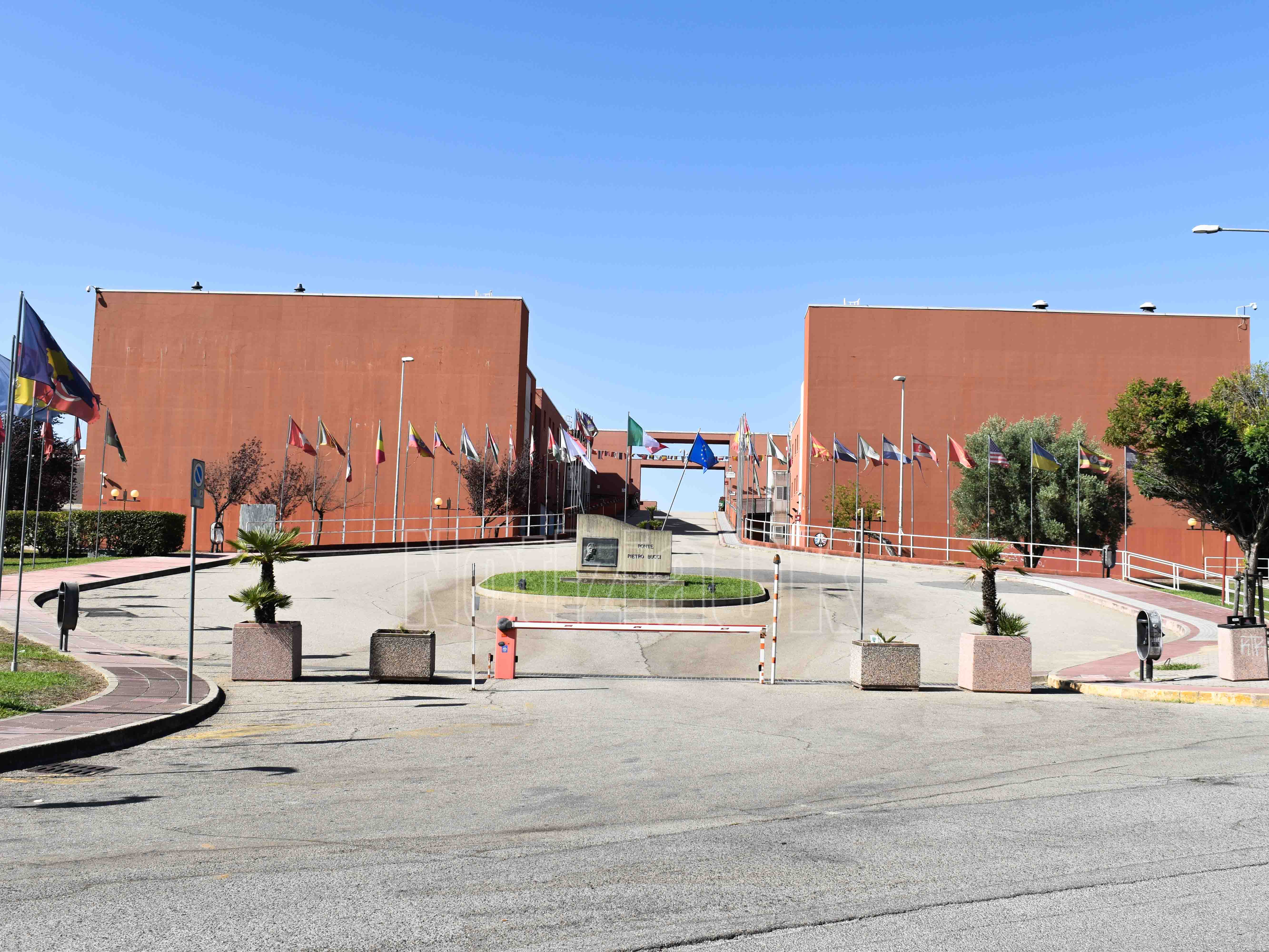 Professioni sanitarie, boom di iscrizioni all’Unical: cresce l’interesse per Infermieristica e Fisioterapia - Foto: Redazione 