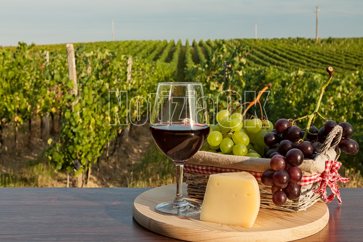 Lamezia in Wine, il centro storico diventa protagonista del gusto - 