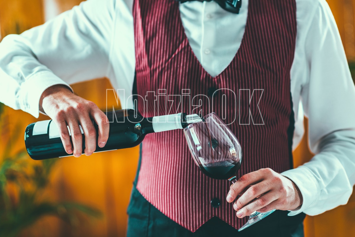 Verbicaro Wine Festival, due giorni tra vino, territorio, biodiversità e musica - Foto: Redazione 