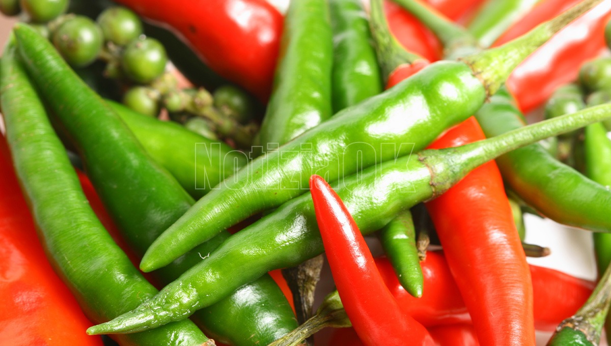 Villapiana protagonista alla Fiera Mondiale del Peperoncino di Rieti - Foto: Redazione 