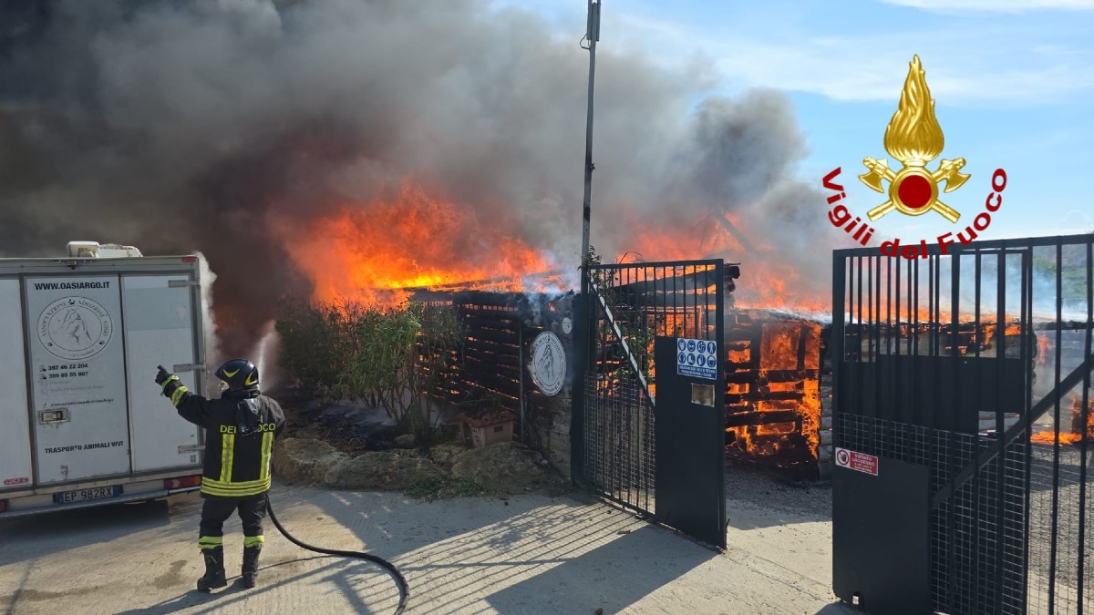 Oasi Argo distrutta dal fuoco, la rabbia in diretta: «Avete ucciso dei cani» - Foto Uff. Stampa Vigili del fuoco crotone