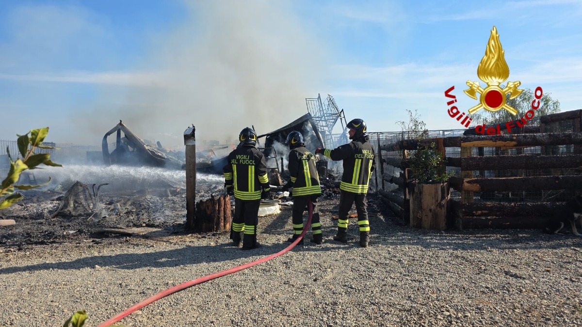 Cirò Marina - Parte la raccolta fondi per ricostruire l'Oasi Argo - Foto Uff. Stampa Vigili del fuoco crotone
