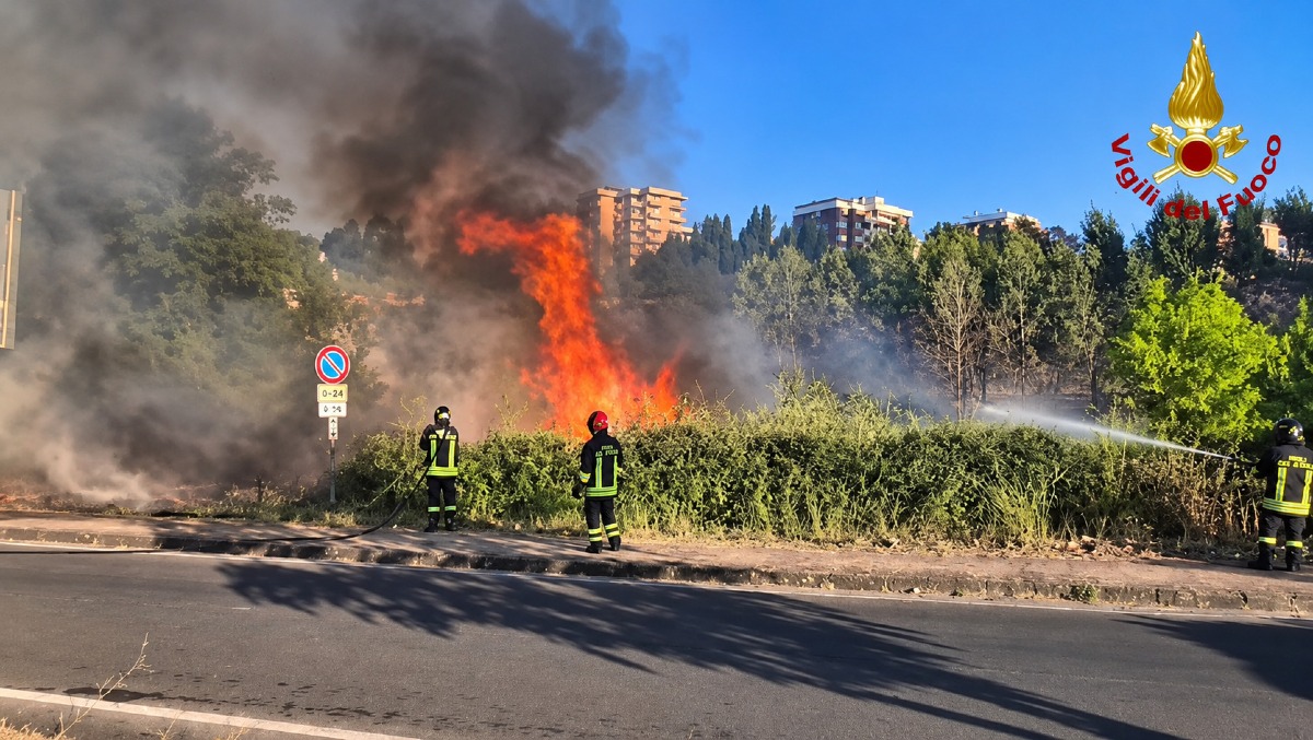 (VIDEO) Incendio tra sterpaglie e rifiuti a Cosenza, fiamme vicino a un distributore - Foto Uff. Stampa Vigili del fuoco 