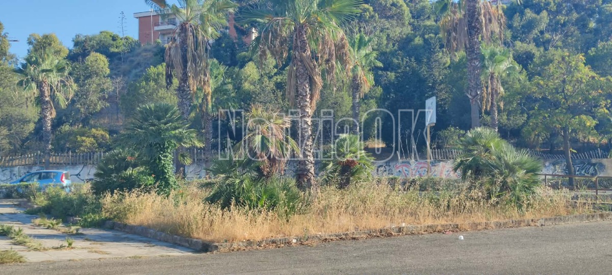 Crotone, degrado nell’area del PalaMilone: rifiuti, erba alta e danneggiamenti - Foto: Redazione