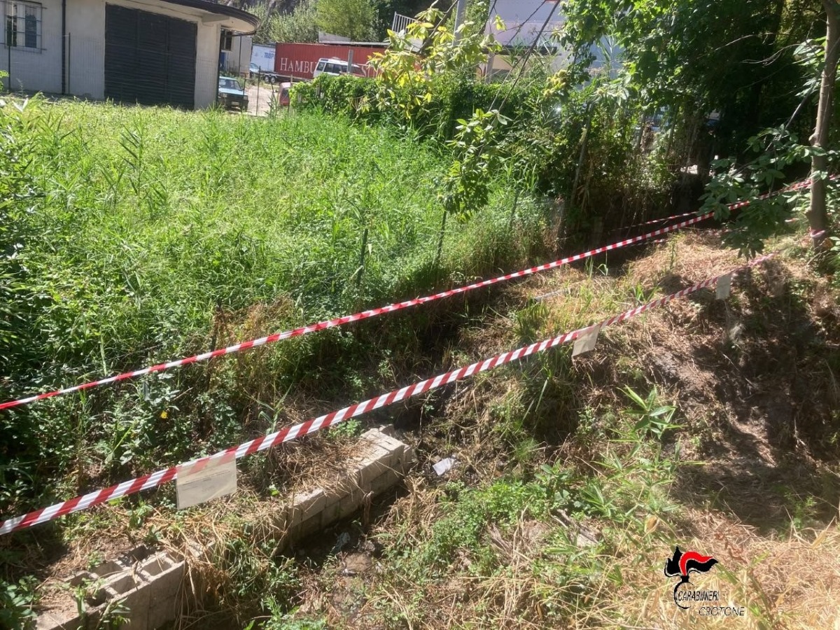 Cotronei - Liquidi pericolosi sversati sul terreno, scatta la denuncia - Foto: Ufficio stampa Carabinieri di Petilia Policastro