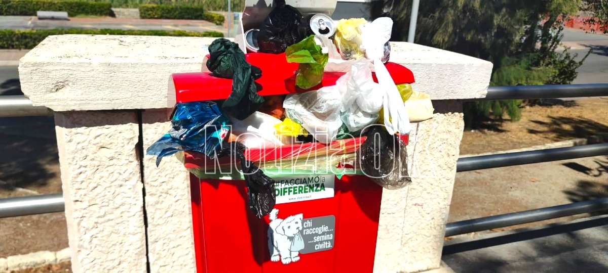 Eco Dog trasformati in cassonetti: a Crotone il degrado corre lungo viale Regina Margherita - Foto: Redazione