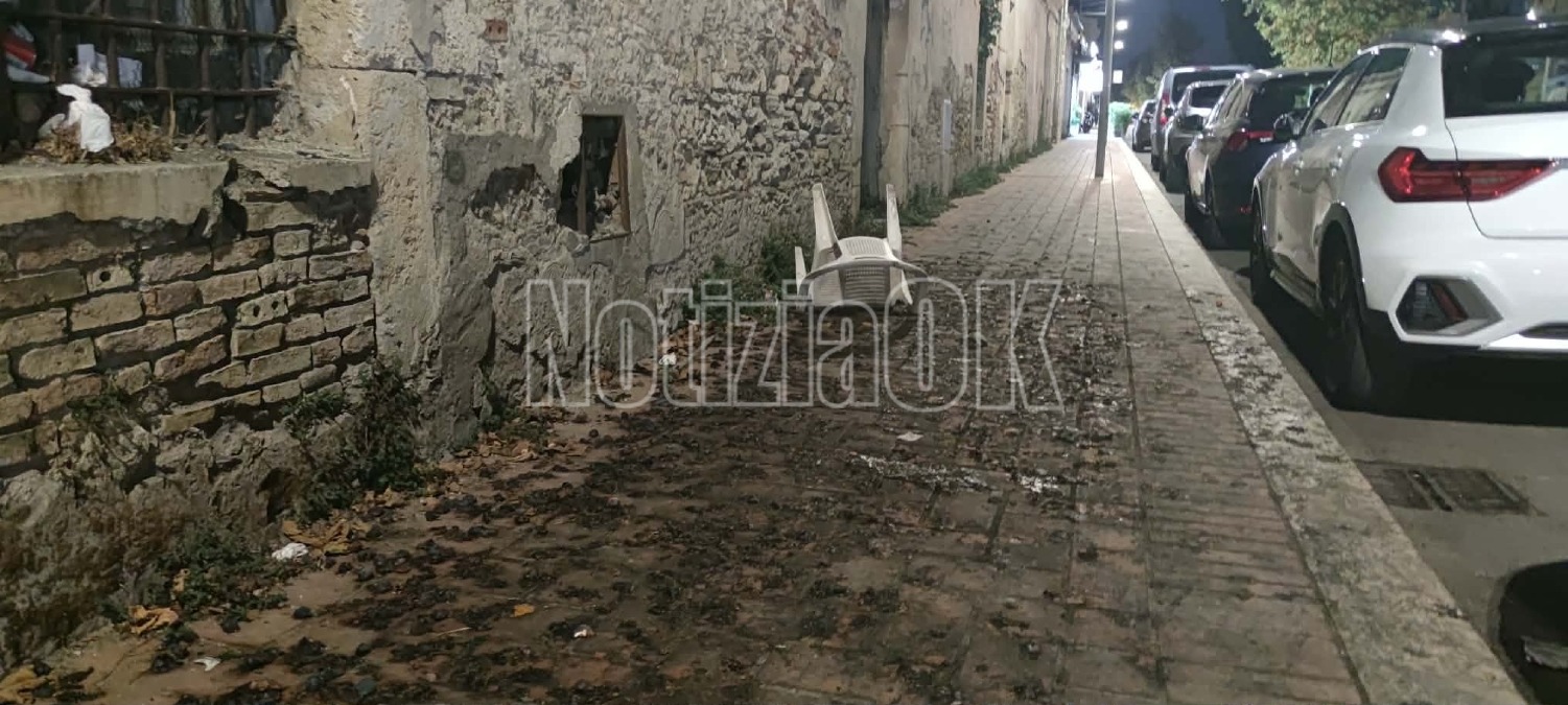 Crotone, via Mario Nicoletta: cadono frutti e il tratto diventa difficile da attraversare - Foto: Redazione 