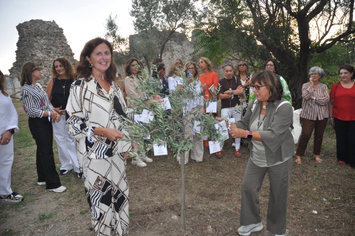 Lamezia Terme, un ulivo per la pace: il Soroptimist celebra le donne Nobel - Foto: Uff. Stampa Soroptimist Lamezia Terme