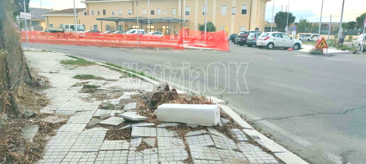 Crotone, marciapiedi degradati vicino alla stazione: non basta il taglio dell’erba  - Foto: Redazione 