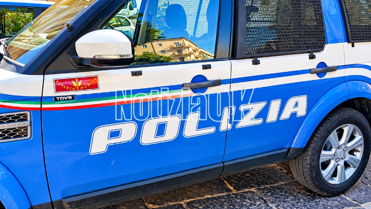 Lamezia, fermato in aeroporto: sul passeggero pendeva un ordine di carcerazione - Foto: Redazione 