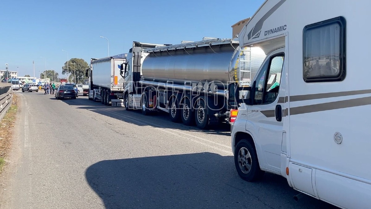Calabria, blocchi stradali e presidi: la protesta degli agricoltori paralizza le strade - Foto: Redazione 