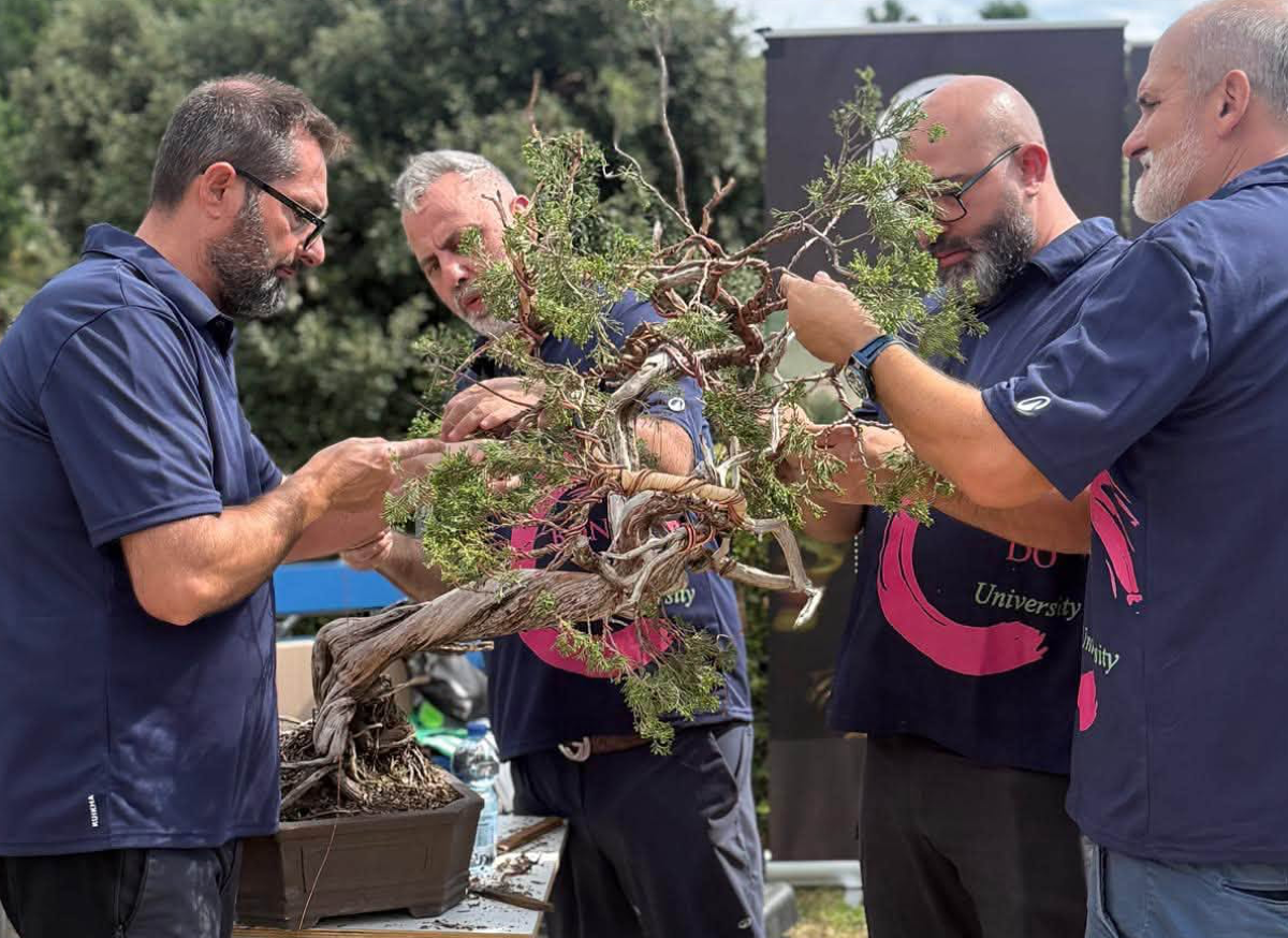 Catanzaro, XVI Mostra "Perla dello Jonio": un ricco indotto economico e storica intesa col Belgio - Foto: Uff. Stampa XVI Mostra "Perla dello Jonio"