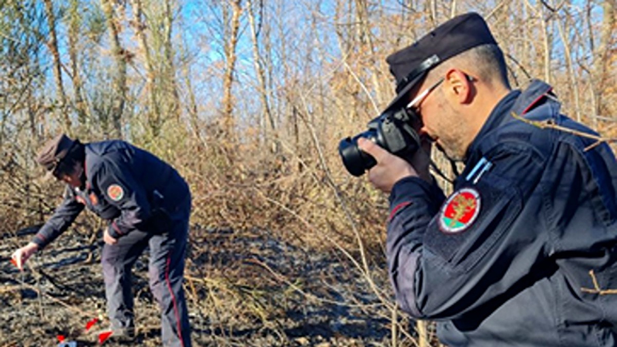 Incendio doloso a Curinga, arrestato dai Carabinieri l’autore del rogo -  Foto Uff. Stampa Carabinieri 