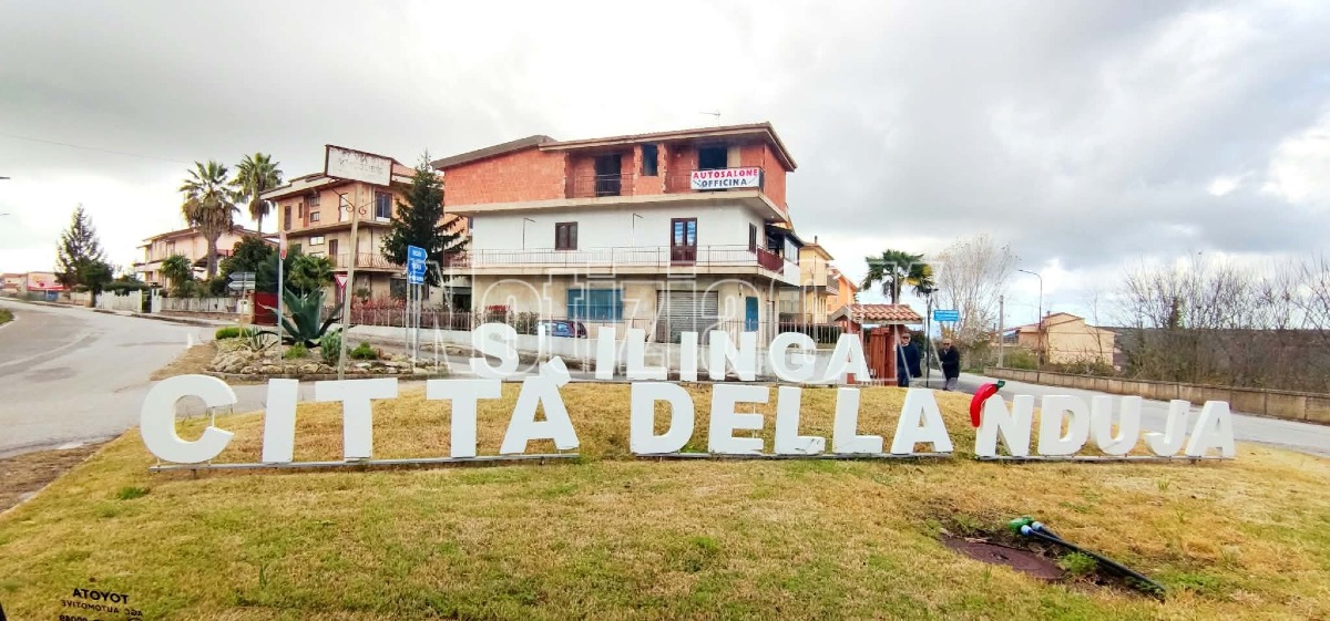 Longevity Day Italia 2026, Spilinga pronta ad accogliere la XII edizione - Foto: Redazione