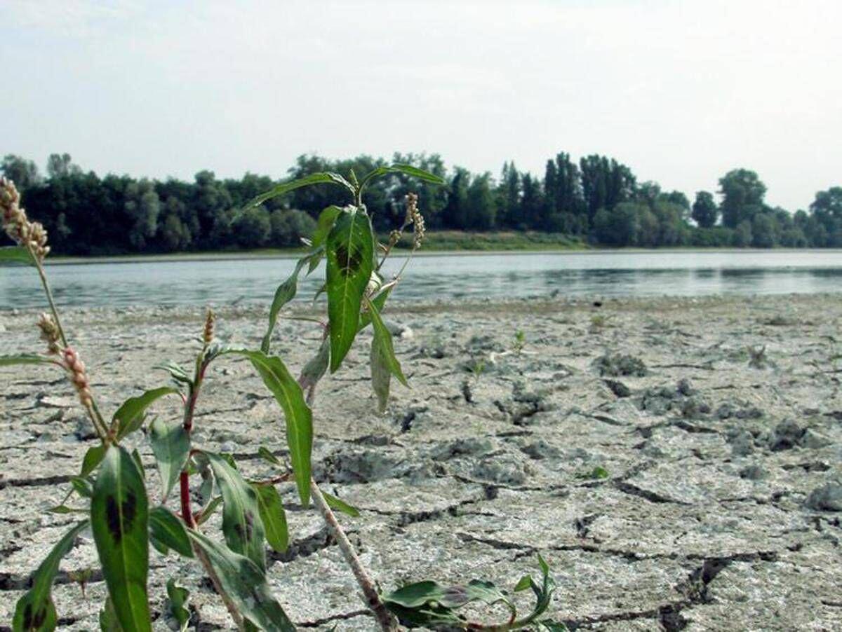 Agosto mese più caldo mai registrato, estate più rovente di sempre per l'Europa occidentale - 