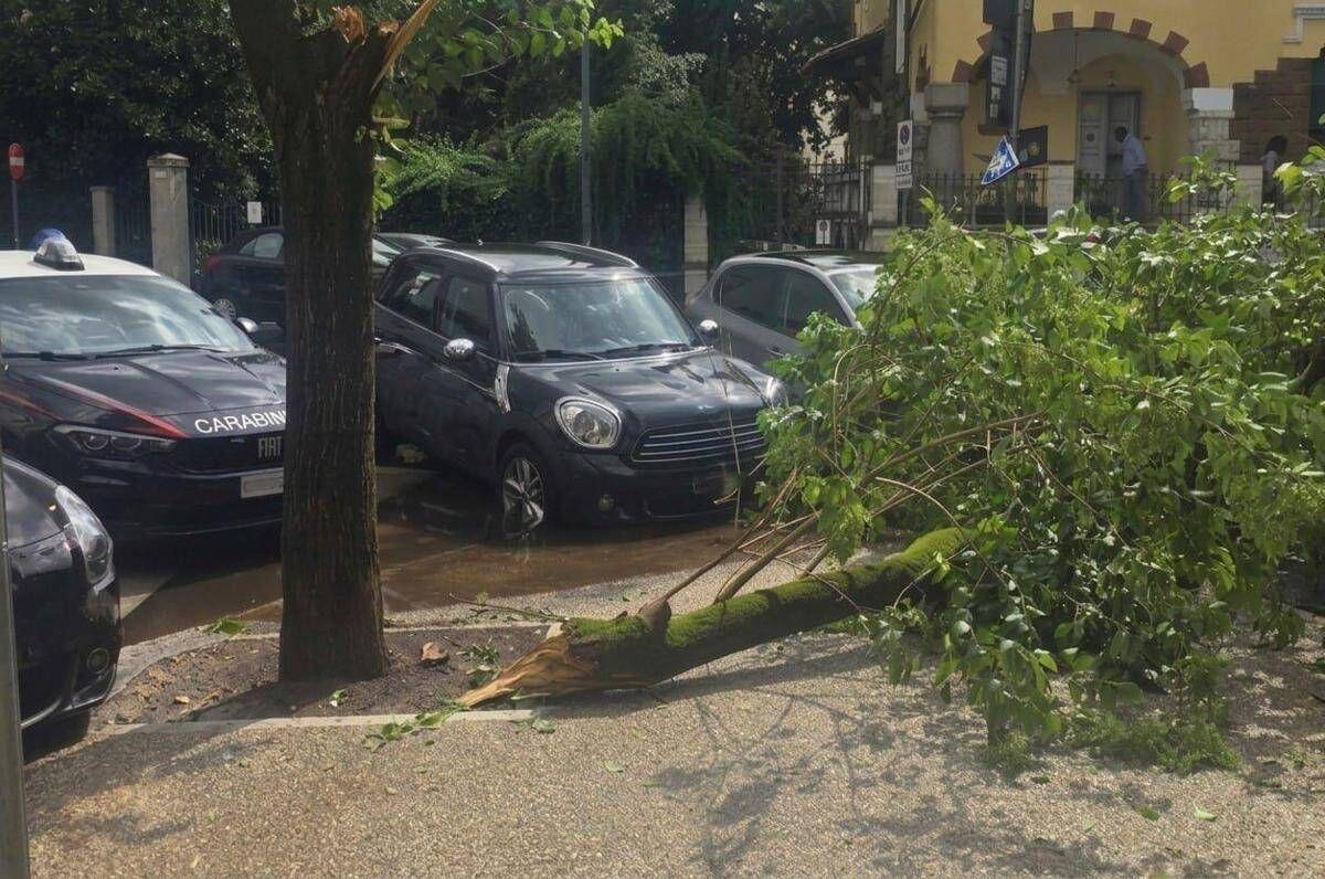 Maltempo a Roma, ramo cade fuori liceo a Coppedè: feriti 3 studenti - 