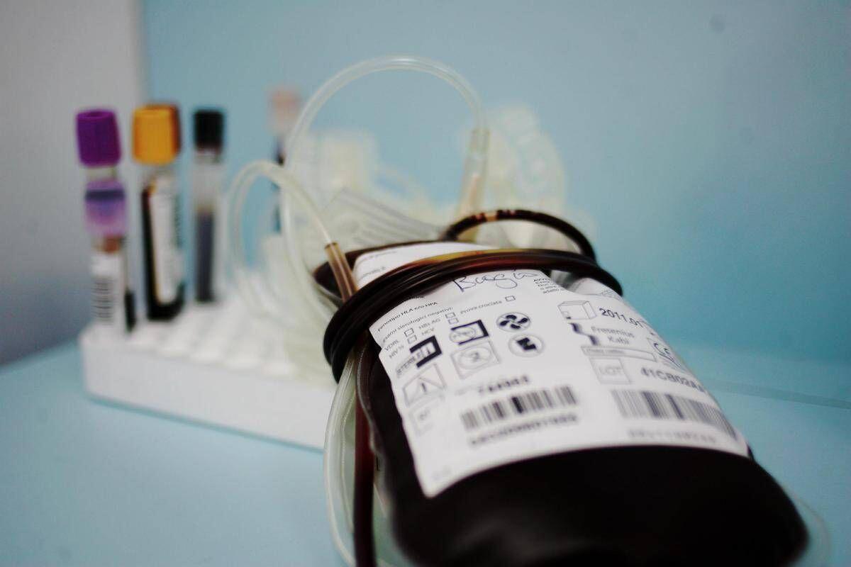 Emergenza sangue in Italia, chi può donarlo e ogni quanto - 