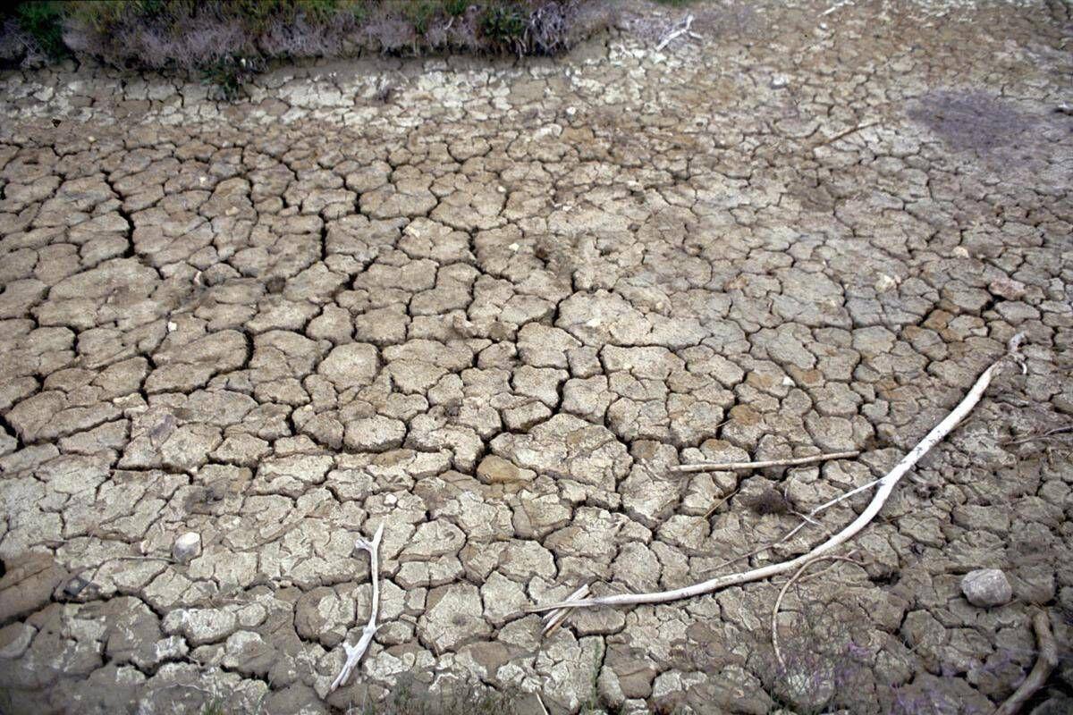 Clima, allarme Onu: "Terra in zona pericolo. El Niño sta assumendo proporzioni enormi" - 