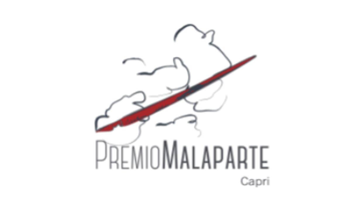 Premi, il 'Malaparte' all'argentina Samanta Schweblin per 'Il buon male' - 