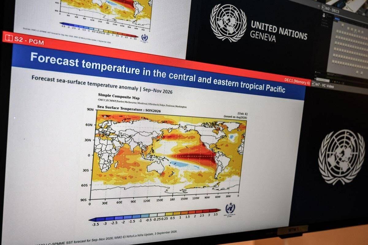 El Niño, l'allerta del governo britannico: "Fate scorta di viveri per sopravvivere" - 