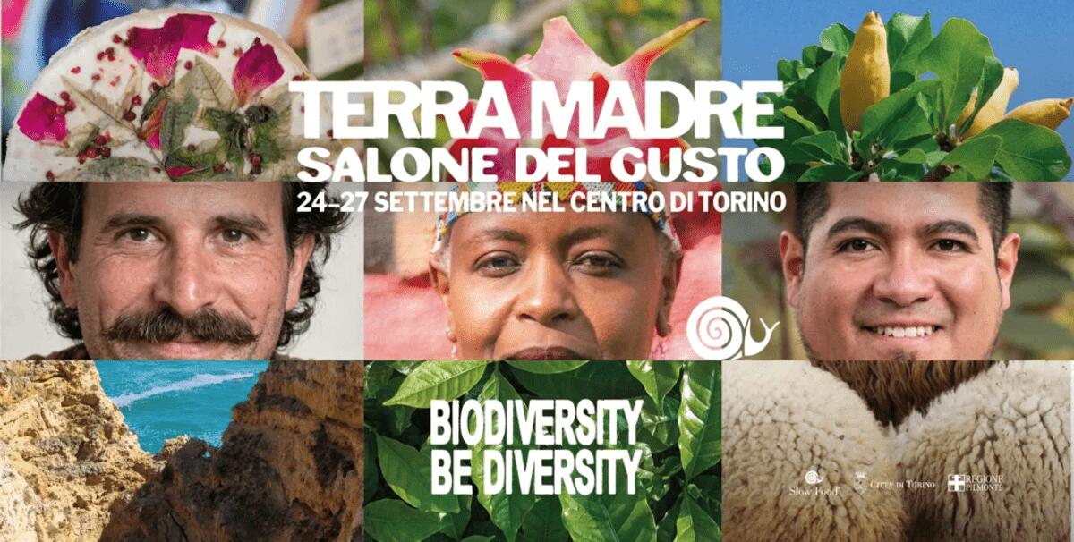 Ismea a Terra Madre 2026, olio di oliva e Indicazioni geografiche al centro del programma - 