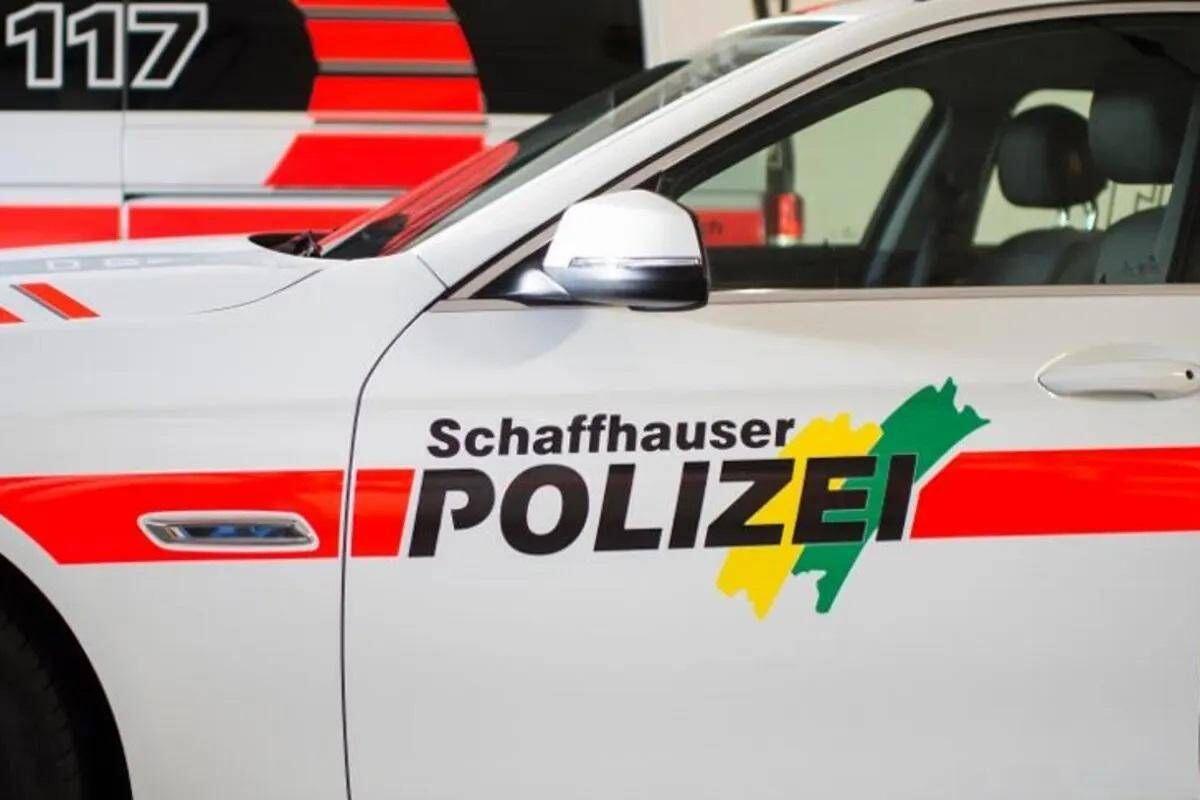 Svizzera, pullman turistico coinvolto in incidente: diversi morti e feriti - 