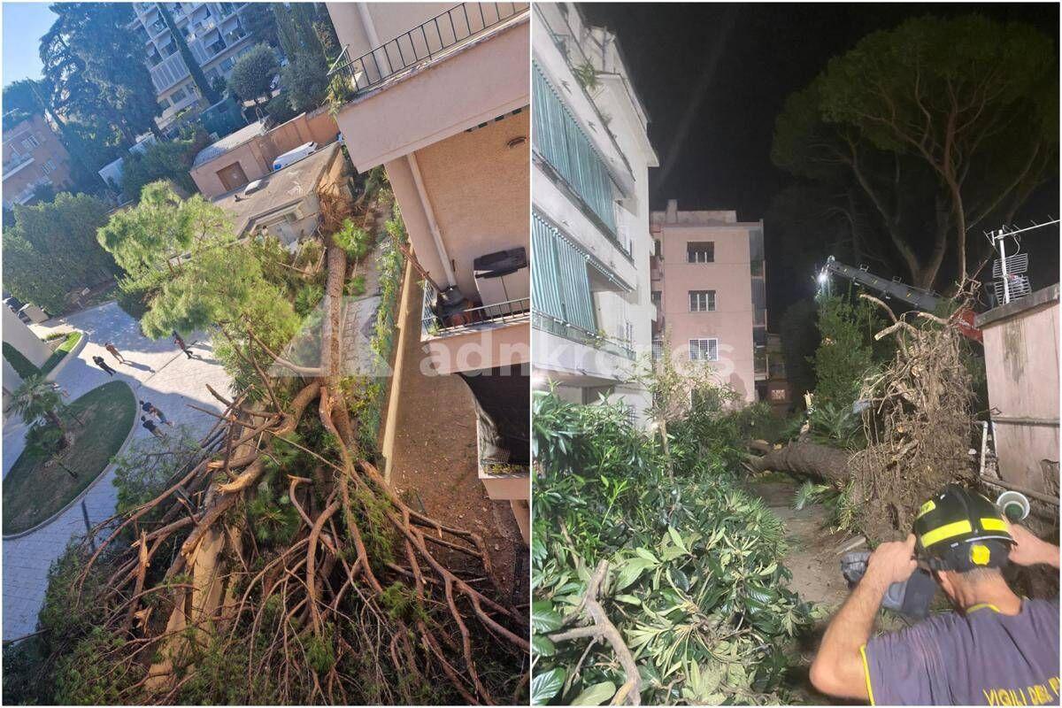 Roma, pino secolare cade su un palazzo in zona Salaria: residenti bloccati - 