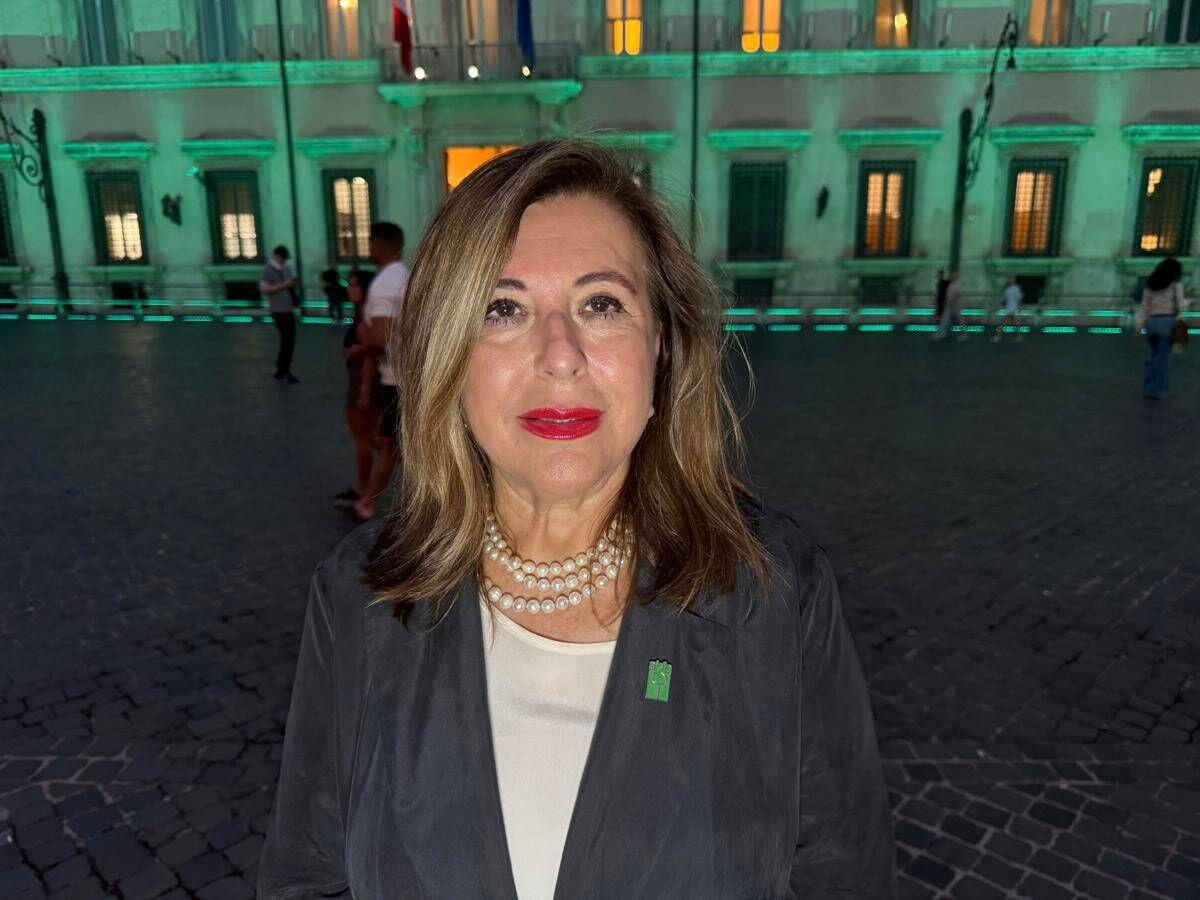 Sla, Massimelli (Aisla): "Diritto alla cura deve essere uguale su tutto il territorio nazionale" - 