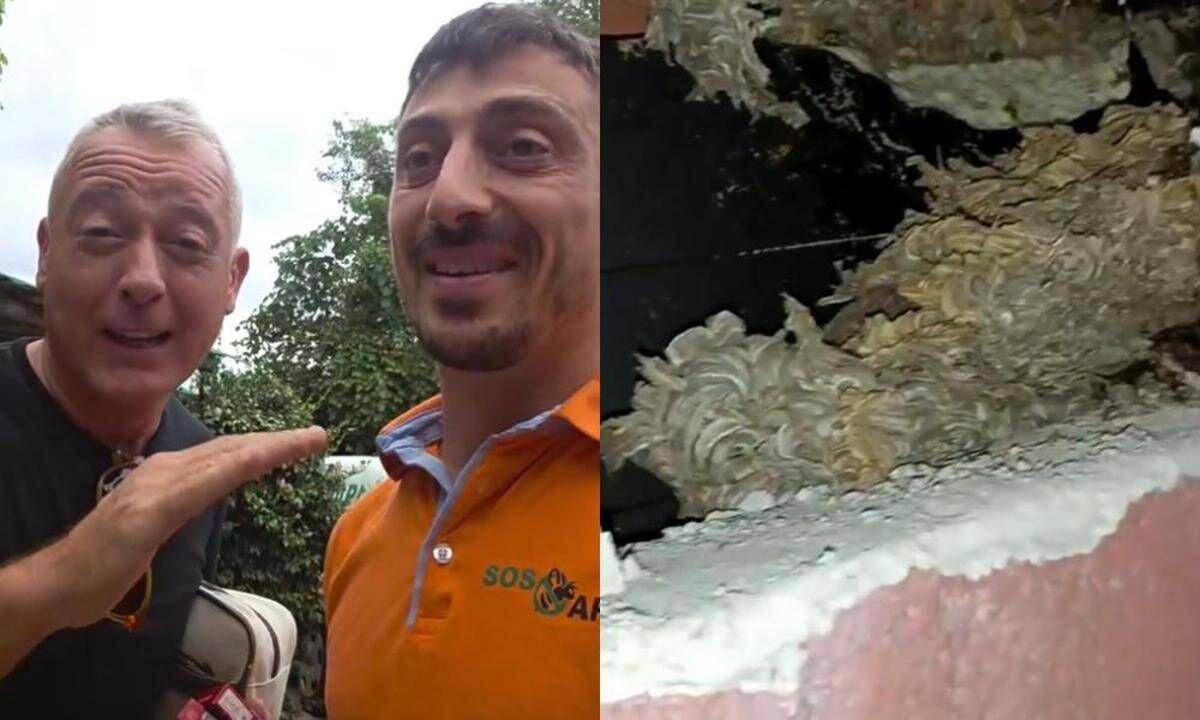 Pierluigi Diaco e Alessio Orsingher punti dalle vespe in casa, interviene il disinfestatore: "Nido enorme" - 