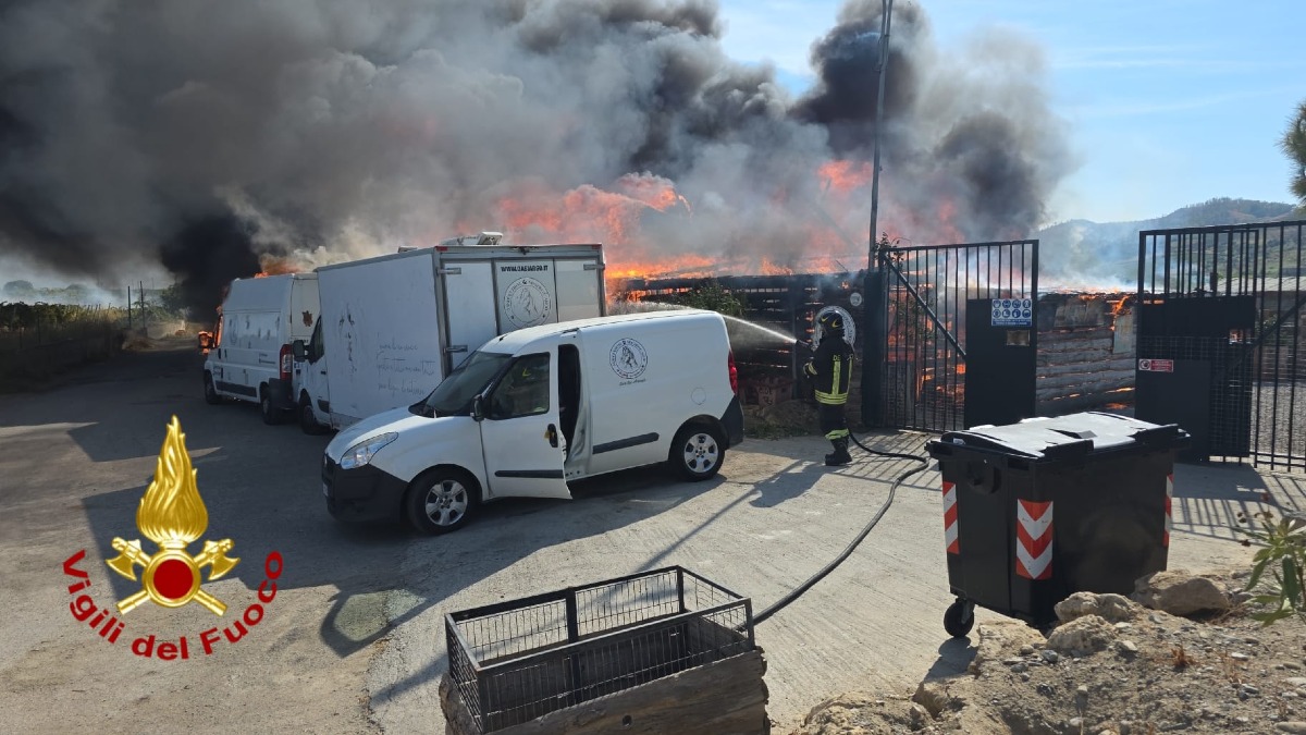 Incendio Canile Cirò Marina Oasi Argo - Foto Uff. Stampa Vigili del fuoco crotone 4.09.2026