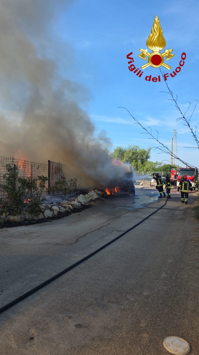 Incendio Canile Cirò Marina Oasi Argo - Foto Uff. Stampa Vigili del fuoco crotone 4.09.2026