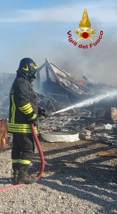 Incendio Canile Cirò Marina Oasi Argo - Foto Uff. Stampa Vigili del fuoco crotone 4.09.2026