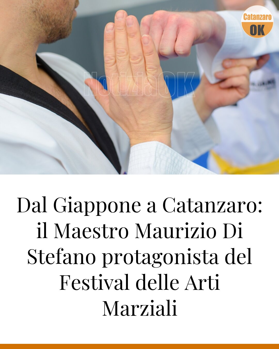 Dal Giappone a Catanzaro: il Maestro Maurizio Di Stefano protagonista del Festival delle Arti Marziali