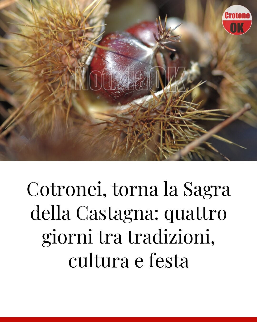 Cotronei, torna la Sagra della Castagna: quattro giorni tra tradizioni, cultura e festa