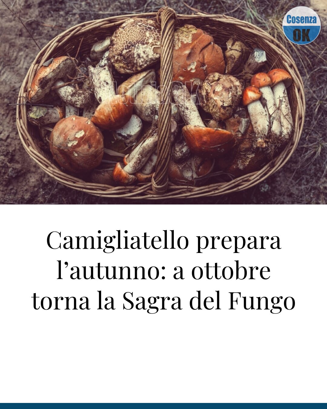 Camigliatello prepara l’autunno: a ottobre torna la Sagra del Fungo