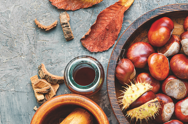 Lorica, torna la Festa dei Colori e dei Sapori d’Autunno: tre giorni tra gusto e tradizioni - Foto: Redazione 