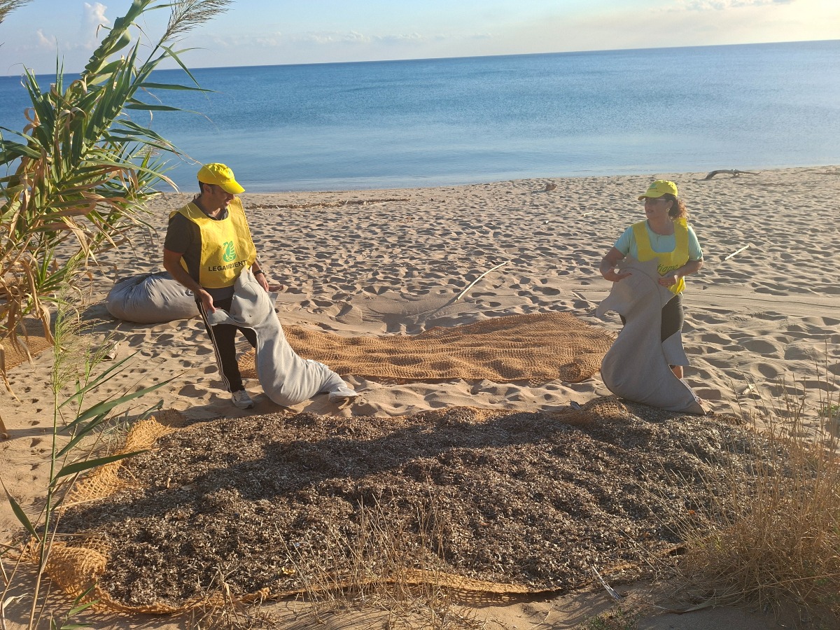 Posidonia, da materiale spiaggiato a risorsa: il progetto Re.D. entra nella fase operativa - Foto Uff. Stampa Legambiente Le Castella 