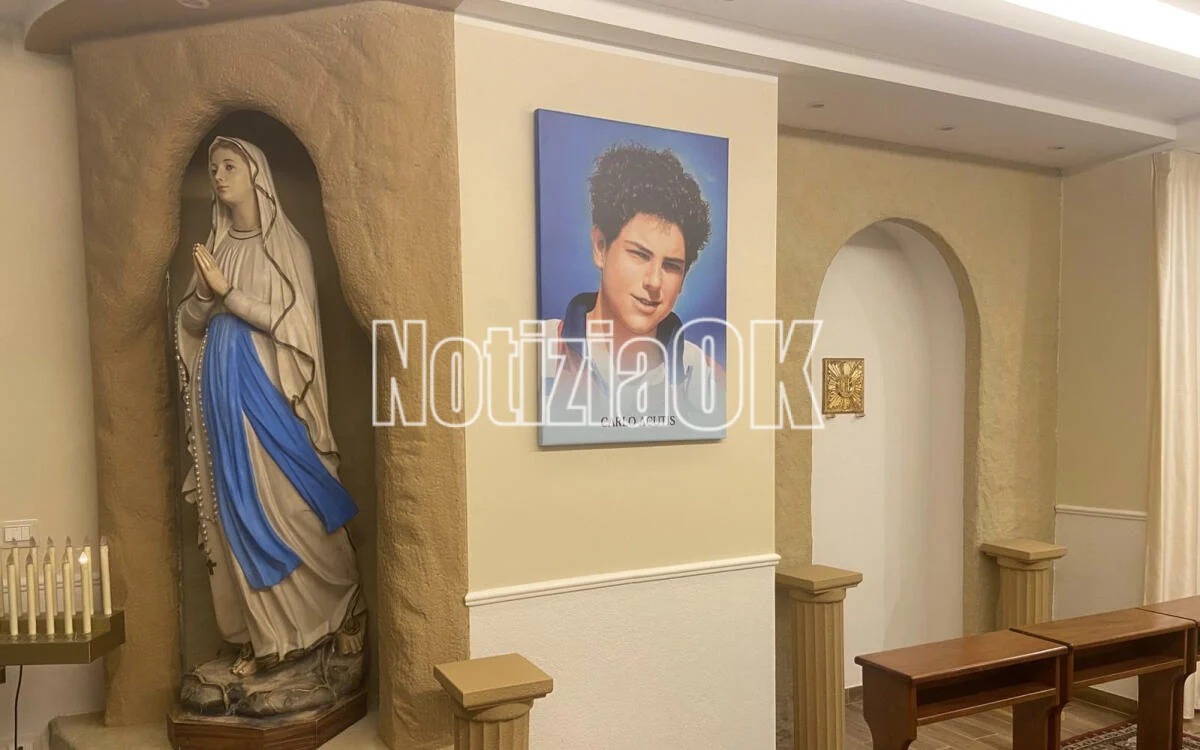 Crotone - San Carlo Acutis, le reliquie attese all’Immacolata: al via l'anno catechistico - Foto: Redazione 