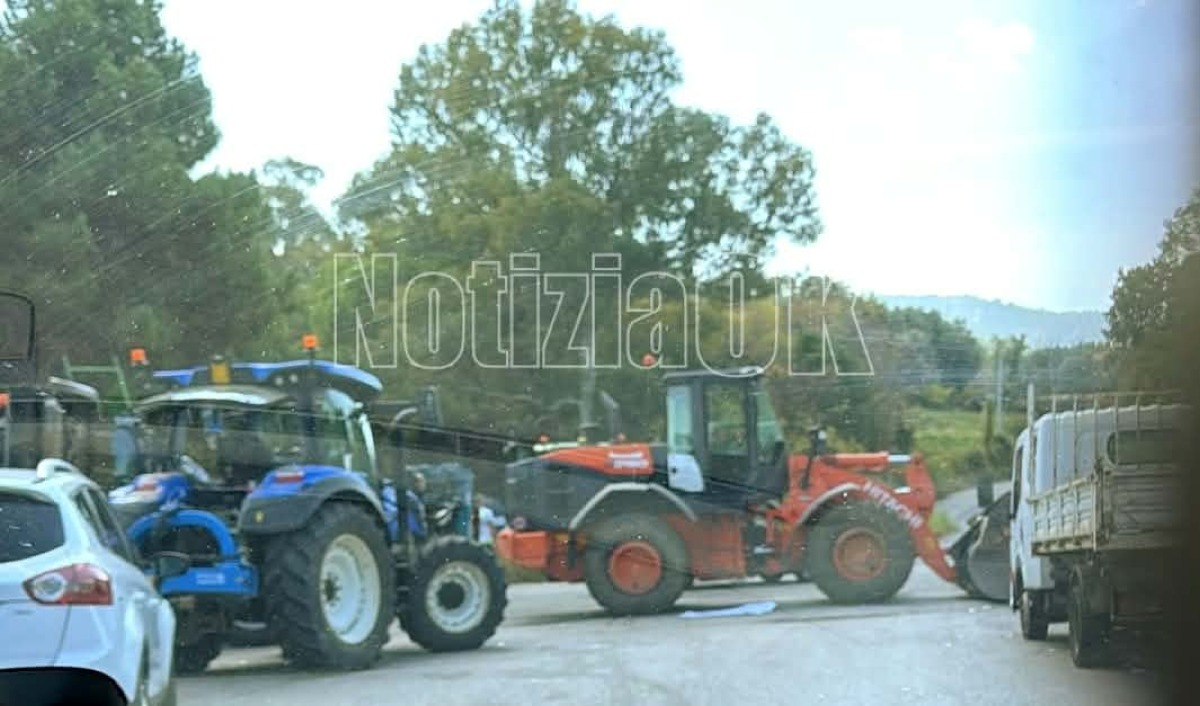 Caro carburante, protesta a oltranza nel Vibonese: distributori a secco - Foto: Redazione