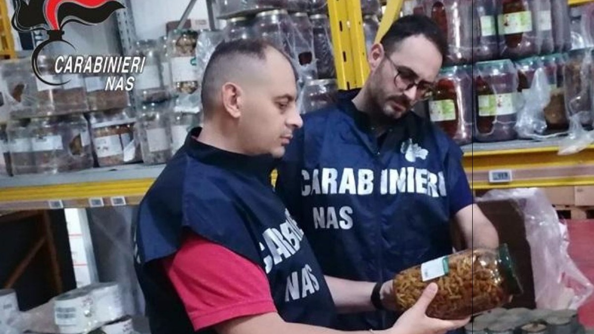 Catanzaro, blitz dei Nas: sequestrati 1.855 kg tra alimenti e cosmetici - Foto Uff. Stampa Carabinieri 
